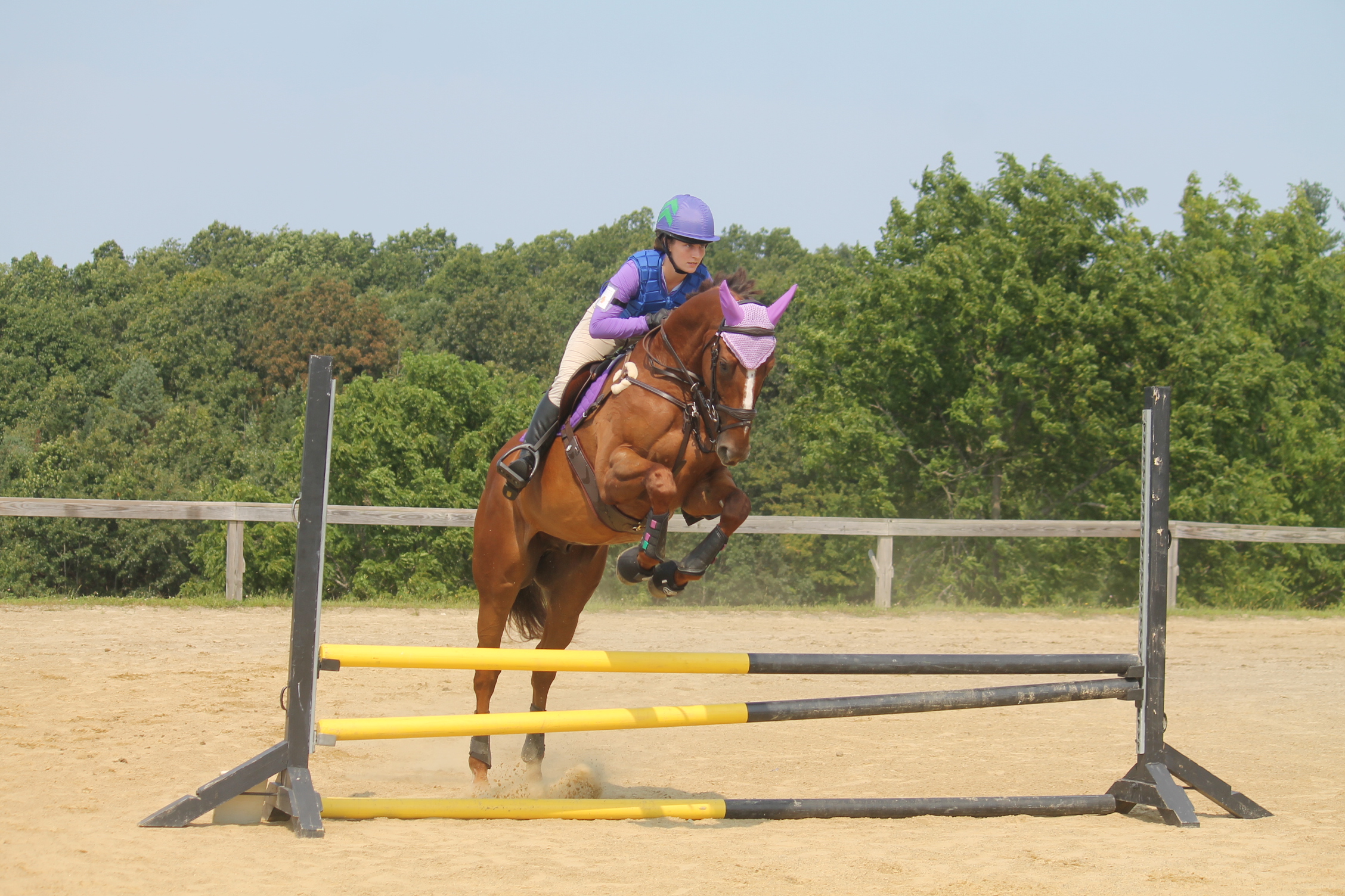 2024 Summer Schooling Event III Orchard Hill Equestrian Center   IMG 1165 